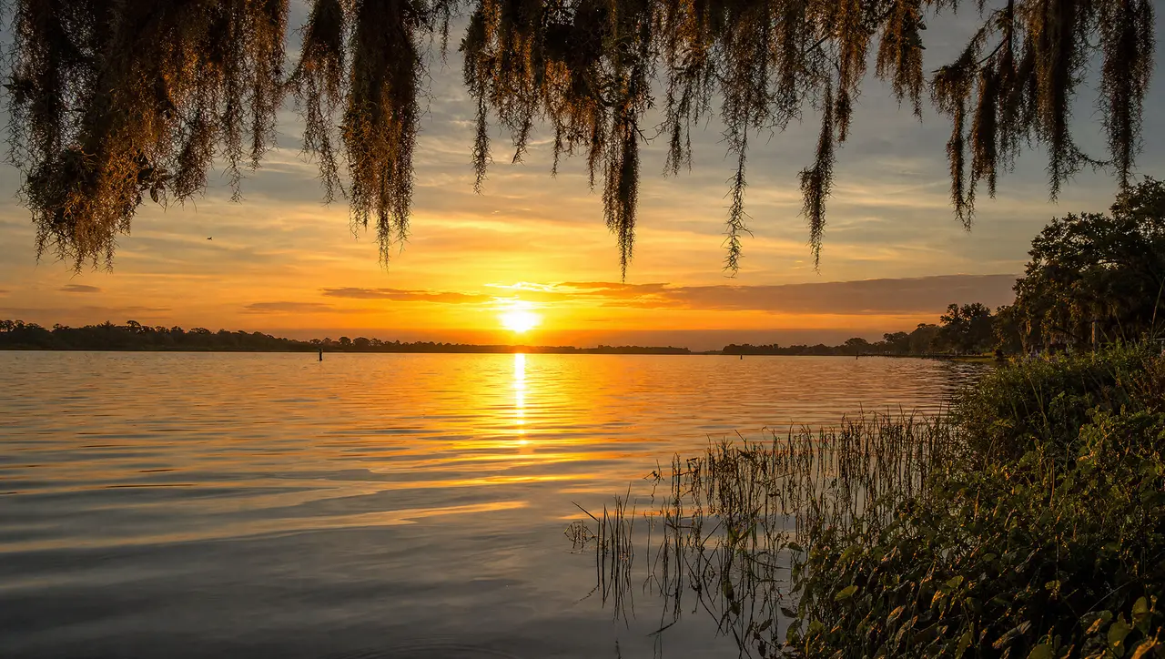 Sunrise over the St. Johns River, Spanish moss hanging across the frame and golden light spreading over still water.